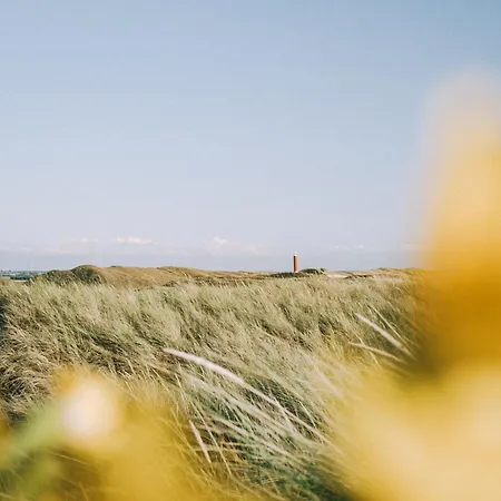 Zilt - Aan Zee