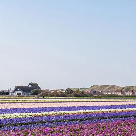 Zilt - Aan Zee Vakantiehuis *