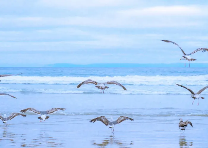 Zilt - Aan Zee * Юлианадорп